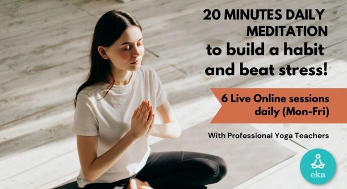 Meditation mindfulness infographic gould skye 20 Daily Meditation Practices for Enhanced Productivity